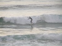 surferboy7651 avatar