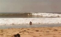 sshore avatar