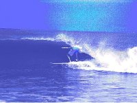 surfgk88 avatar