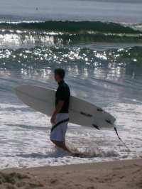 naspinsz avatar