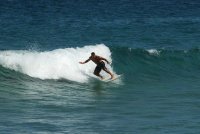Calif avatar