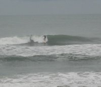 Surfdog60 avatar