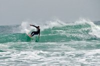 surfdale avatar