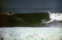 theMDSurfer avatar