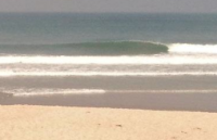 surfero avatar
