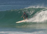 Danzointhebowl avatar
