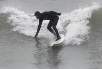surfinhead avatar