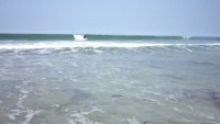 gromsurferscotland avatar