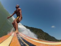 paratysurf avatar