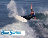 www.bluesurfari.com avatar