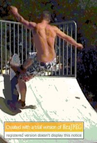 sellall2surf avatar
