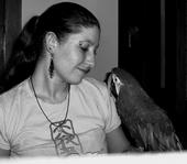 Tiburonita avatar