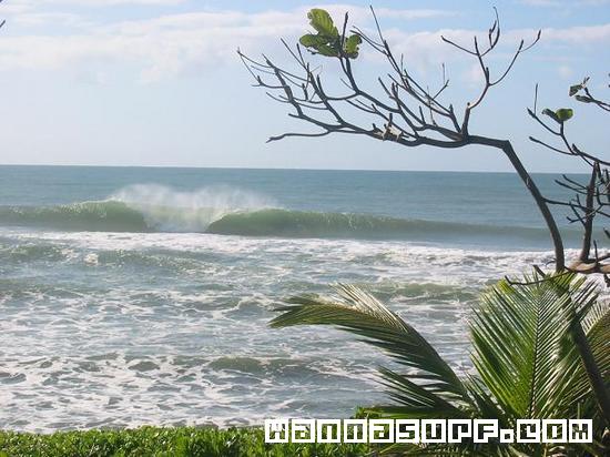 surf photo
