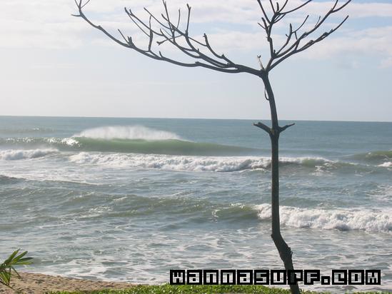surf photo