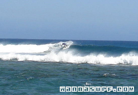 surf photo