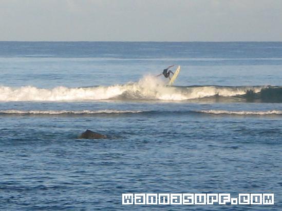 surf photo