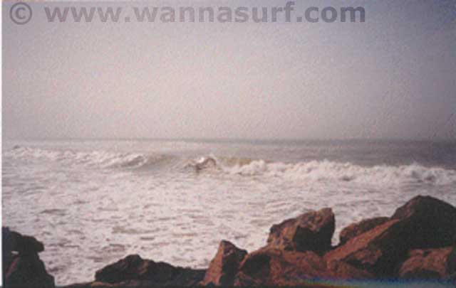 surf photo