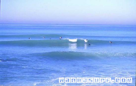 surf photo