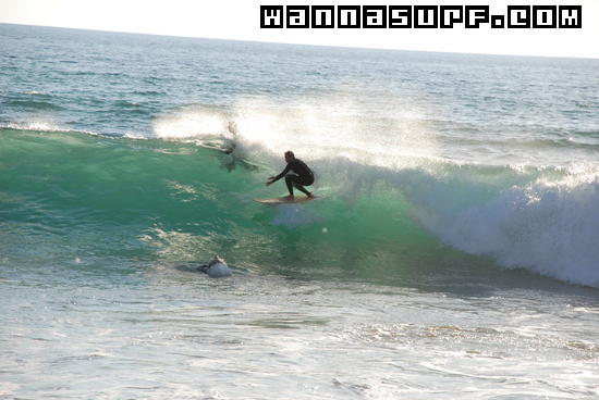 surf photo