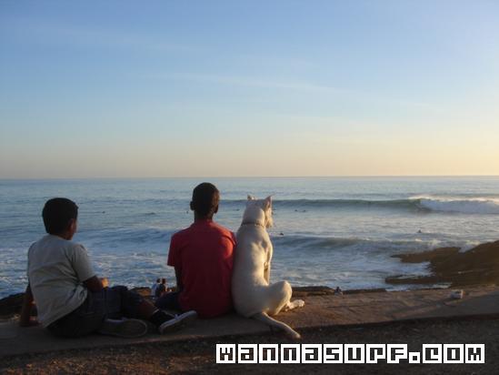 surf photo