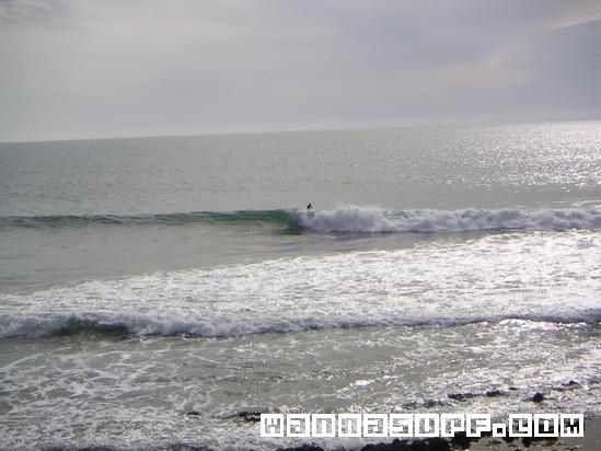 surf photo