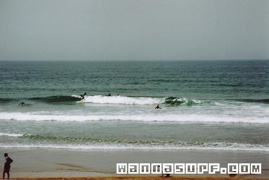 surf photo
