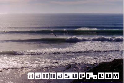 surf photo