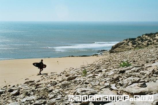 surf photo