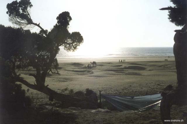 surf photo