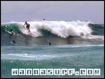 surf photo