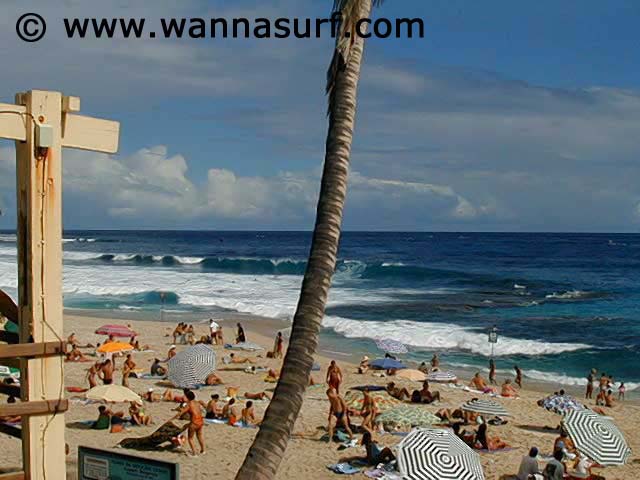 surf photo