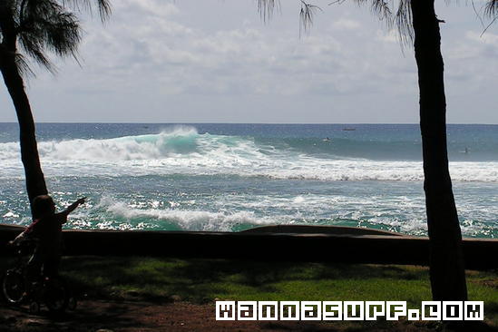 surf photo