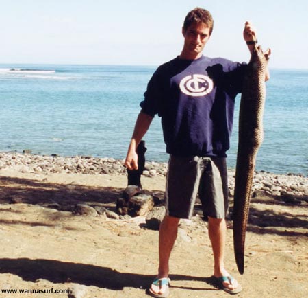 surf photo