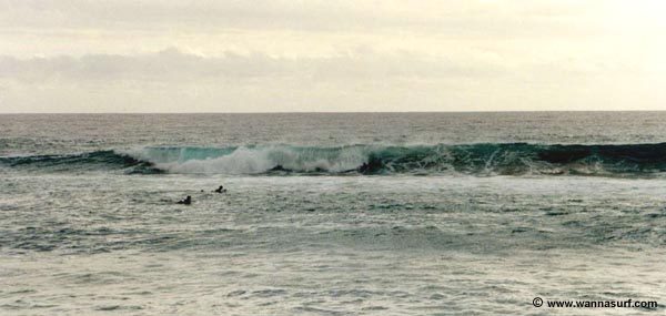 surf photo