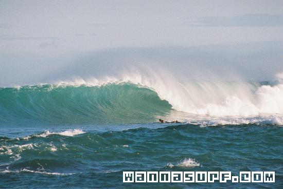 surf photo
