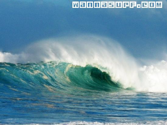 surf photo