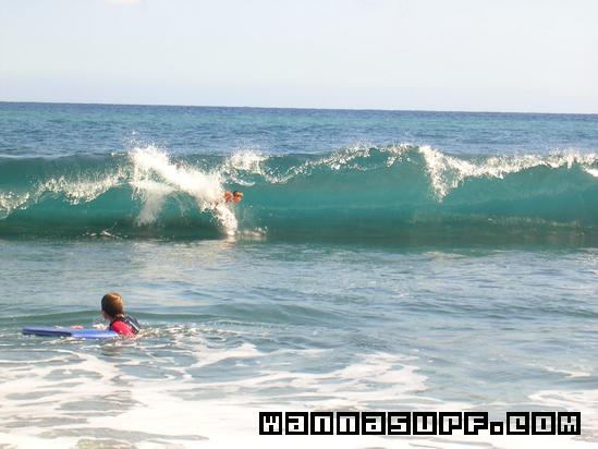 surf photo