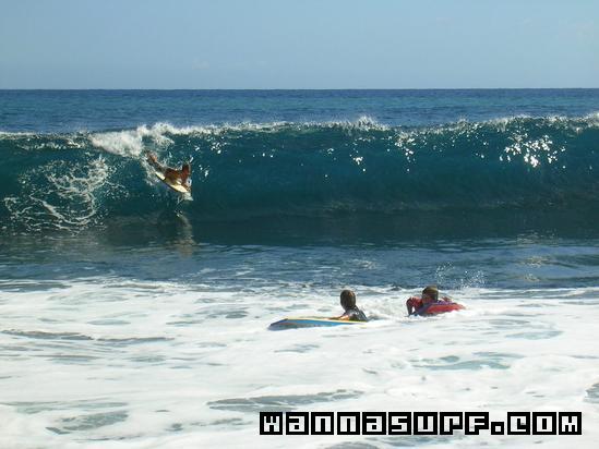 surf photo