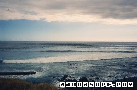 surf photo