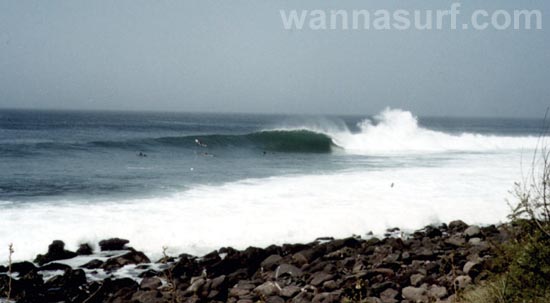 surf photo