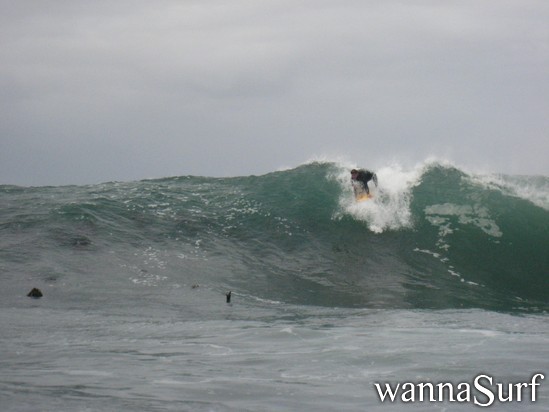 surf photo