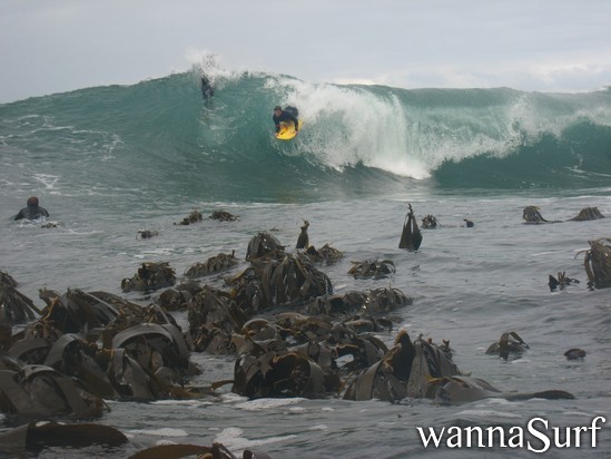 surf photo