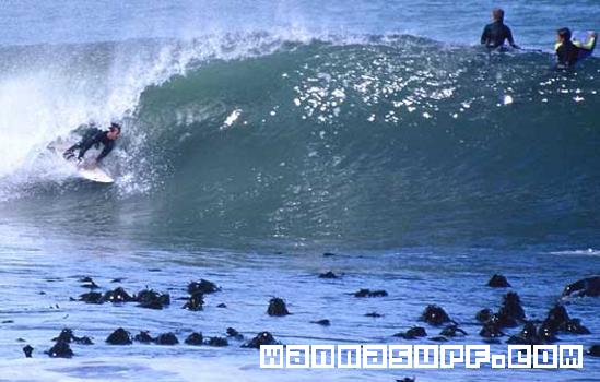surf photo