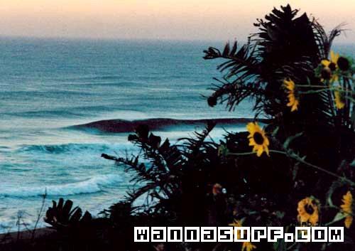 surf photo
