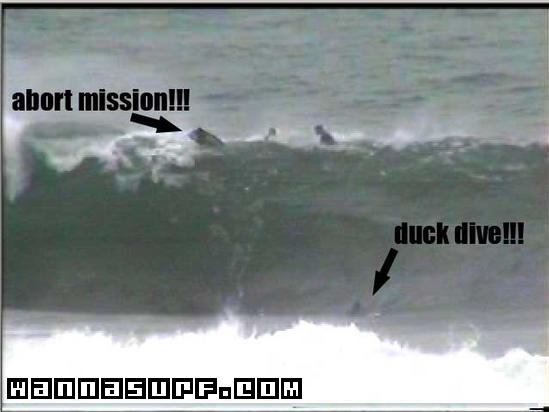 surf photo