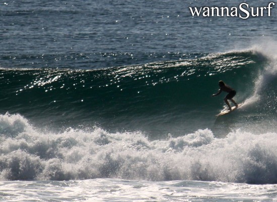 surf photo