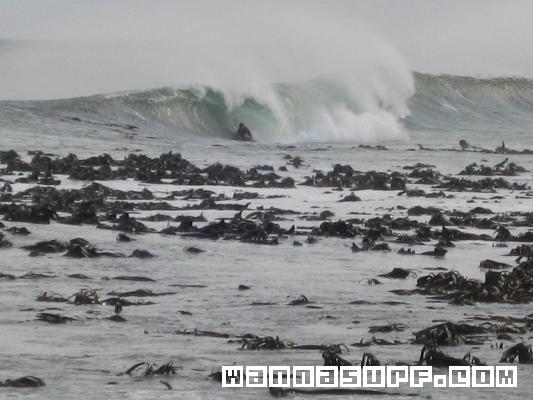surf photo
