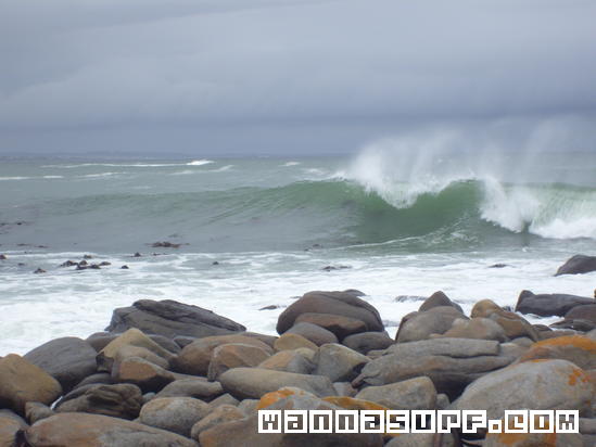 surf photo