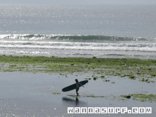 surf photo