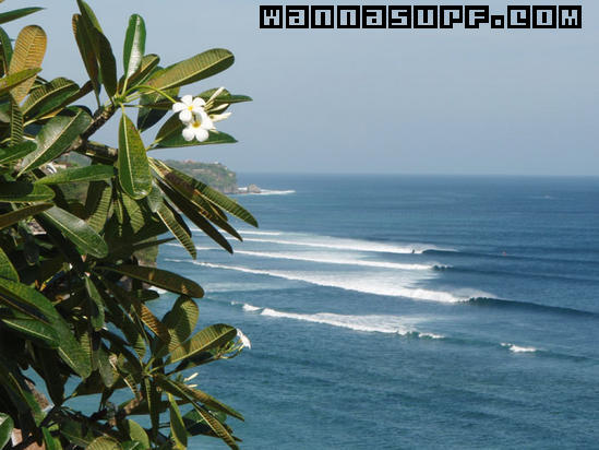 surf photo
